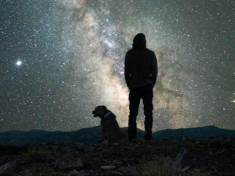 silhouette of man and dog standing on rock during night time