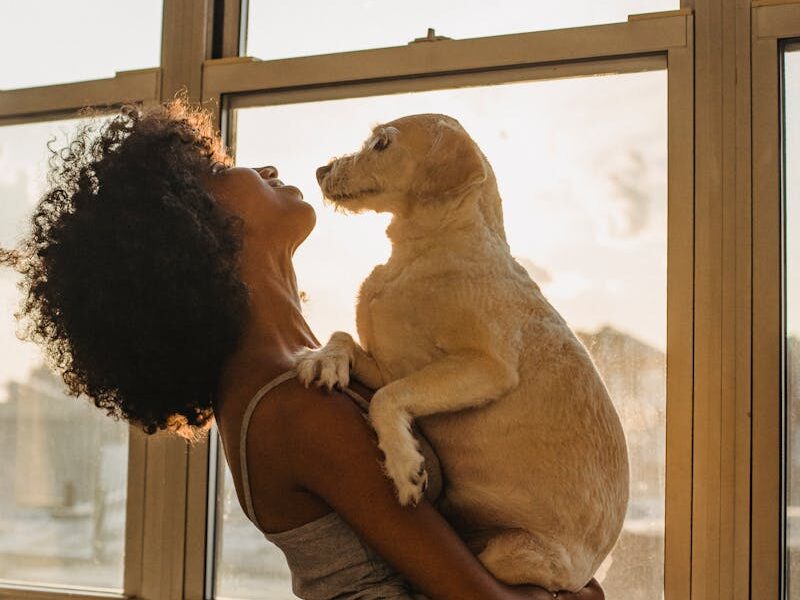 African American woman holding a dog near a window, embracing the joy of companionship during sunset.