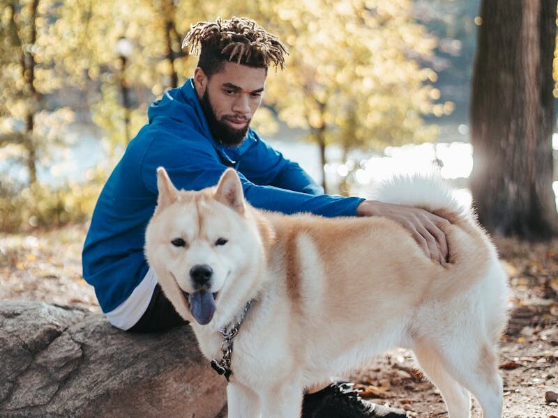 A young man enjoying a sunny day outdoors with his West Siberian Laika dog in the park.