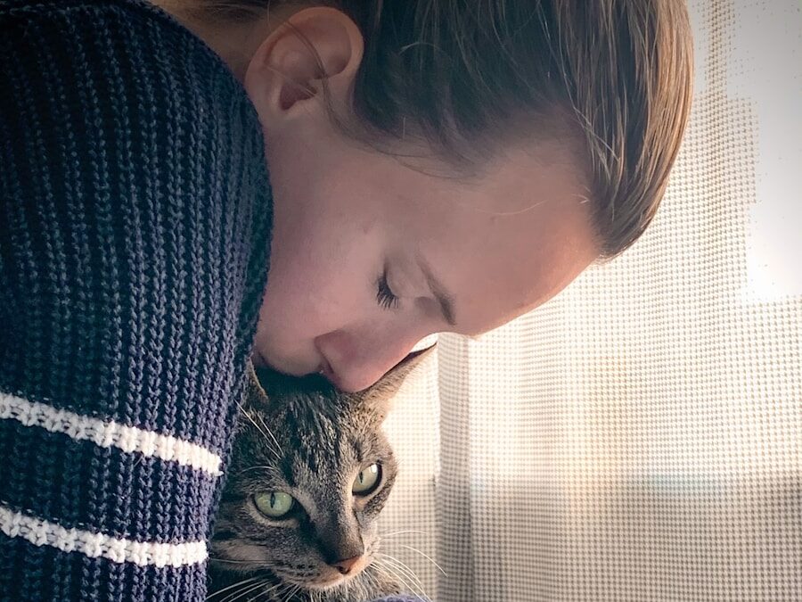 person holding brown tabby cat