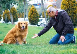 woman sitting beside golden Labrador