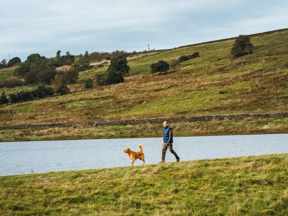 a person walking a dog on a grassy field