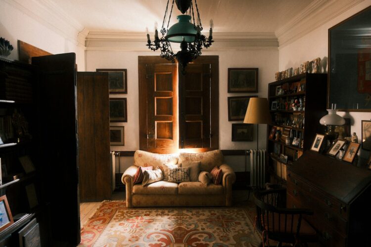 Cozy living room with sofa and bookshelves