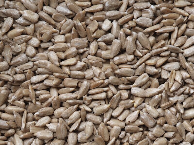 brown and black dried leaves