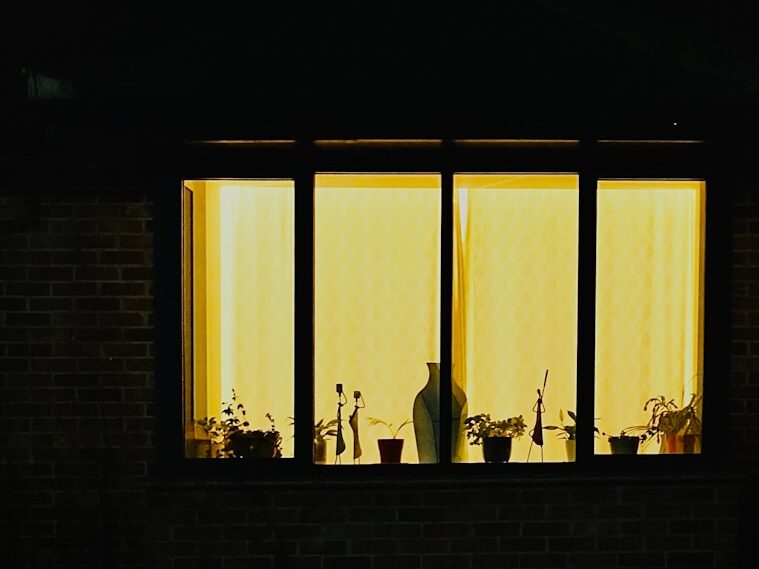 a window that has some plants in it