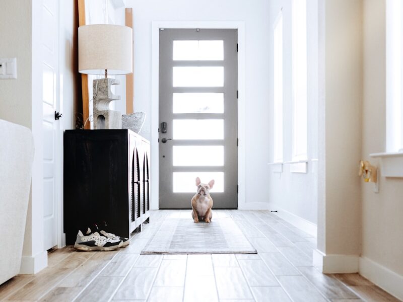 a dog sitting on the floor in front of a door