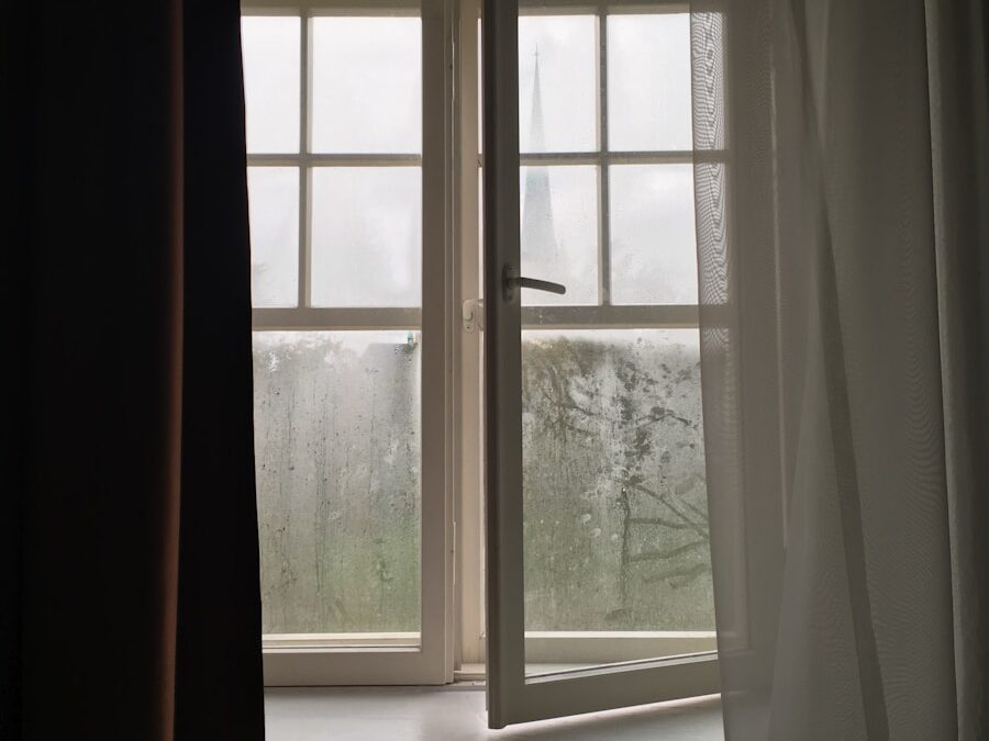 a window with a view of trees outside