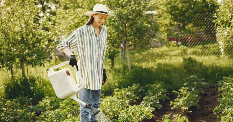 It's Important To Time Your Final Fall Watering Session Right