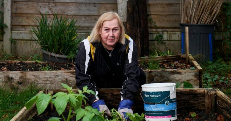 10 Mistakes That Make Fall Mulching Too Late For Your Plants