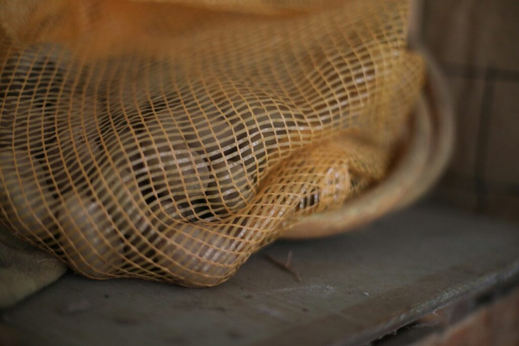 Several onions in a mesh bag on a shelf