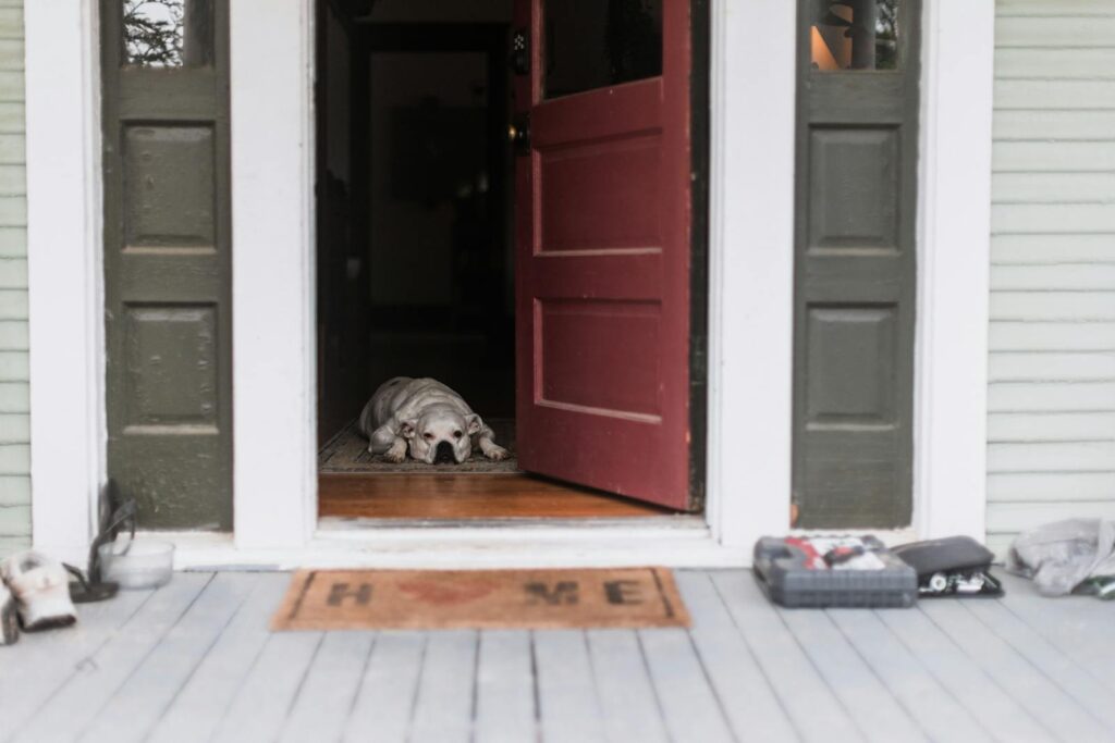 A dog lying on a porch entrance with an open door, creating a welcoming home scene.