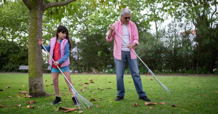 Your Backyard Could Be In Trouble If You Skip Raking