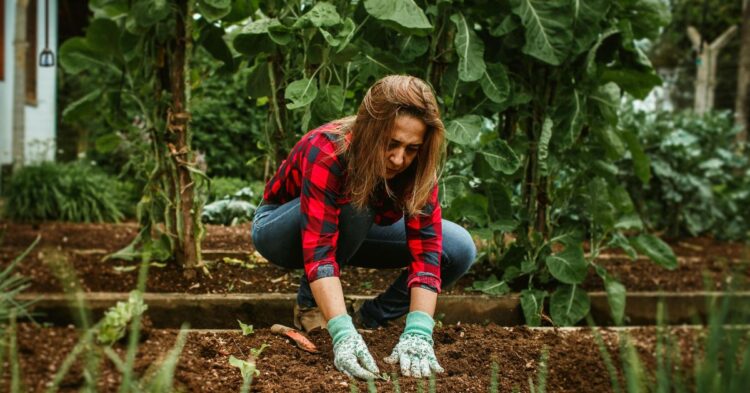How To Know When Fall Planting Season Is Truly Over?