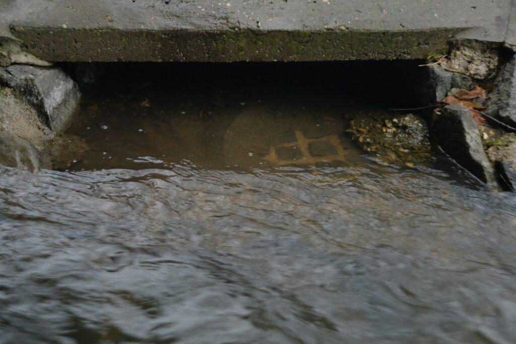 a small stream of water running under a bridge