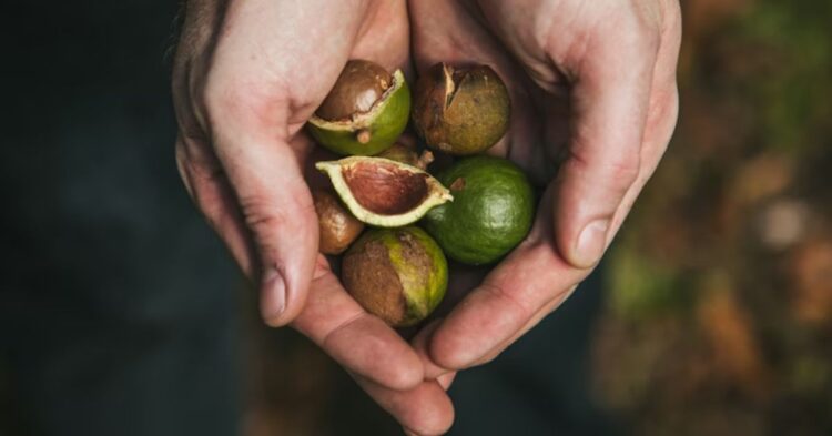 10 Nuts Seniors Should Skip For Better Health