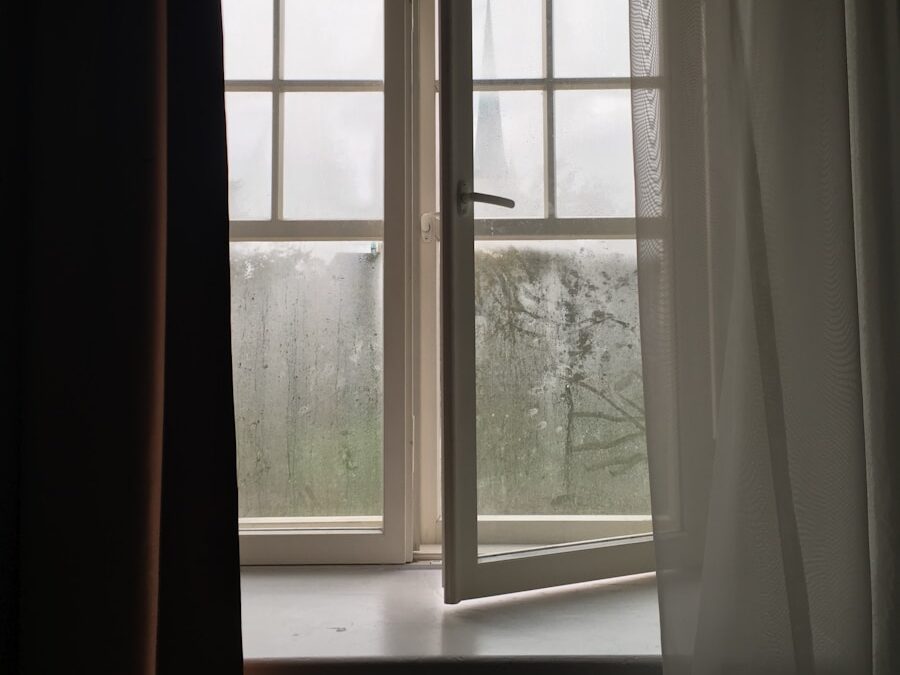 a window with a view of trees outside