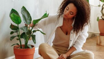 An African American woman sitting on a wooden floor, caring for a potted indoor plant in a bright, modern home.