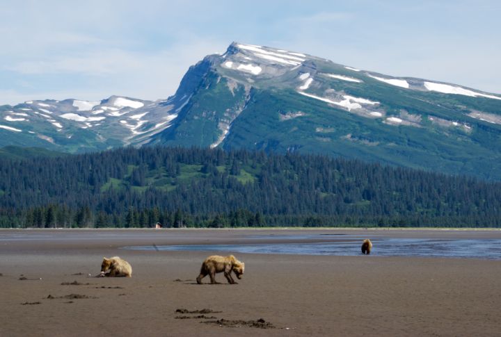 Why Lake Clark Should Be On Every Nature Lover's Bucket List