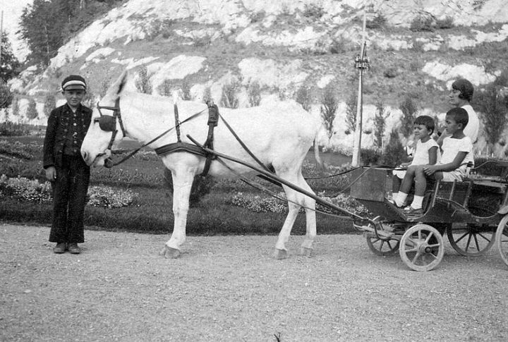 Long Rides To Town In Horse-Drawn Wagons