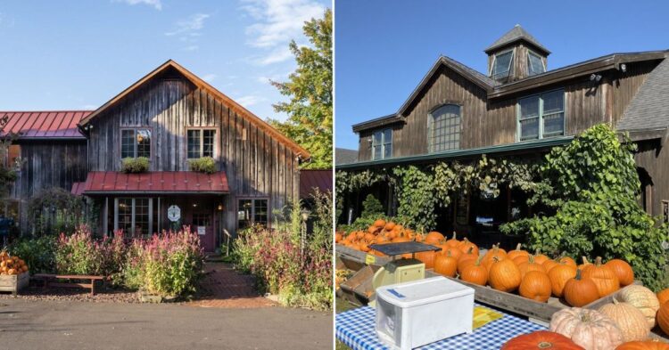 50 U-Pick Farms You’ll Love Visiting Across The States