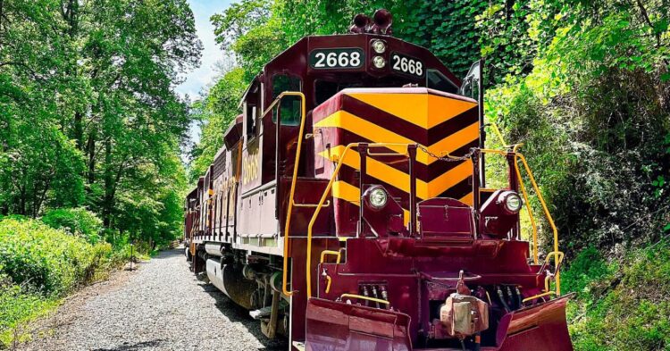 The 10 Scenic Train Rides In The U.S. You Need To Experience