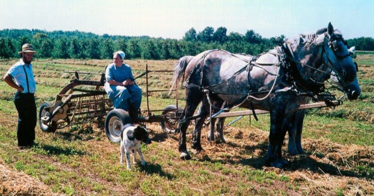10 Practices That Reveal a Different Side of Amish Life